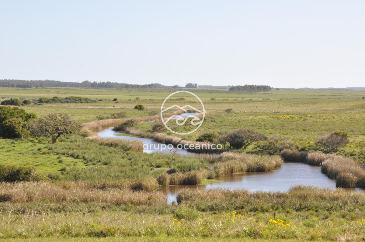Chacra ID.10 - Chacra 138 hectáreas en Garzón Abajo