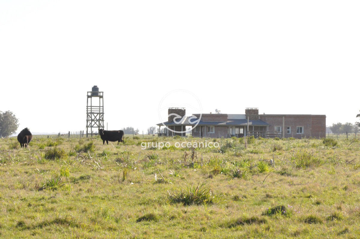 Chacra ID.10 - Chacra 138 hectáreas en Garzón Abajo