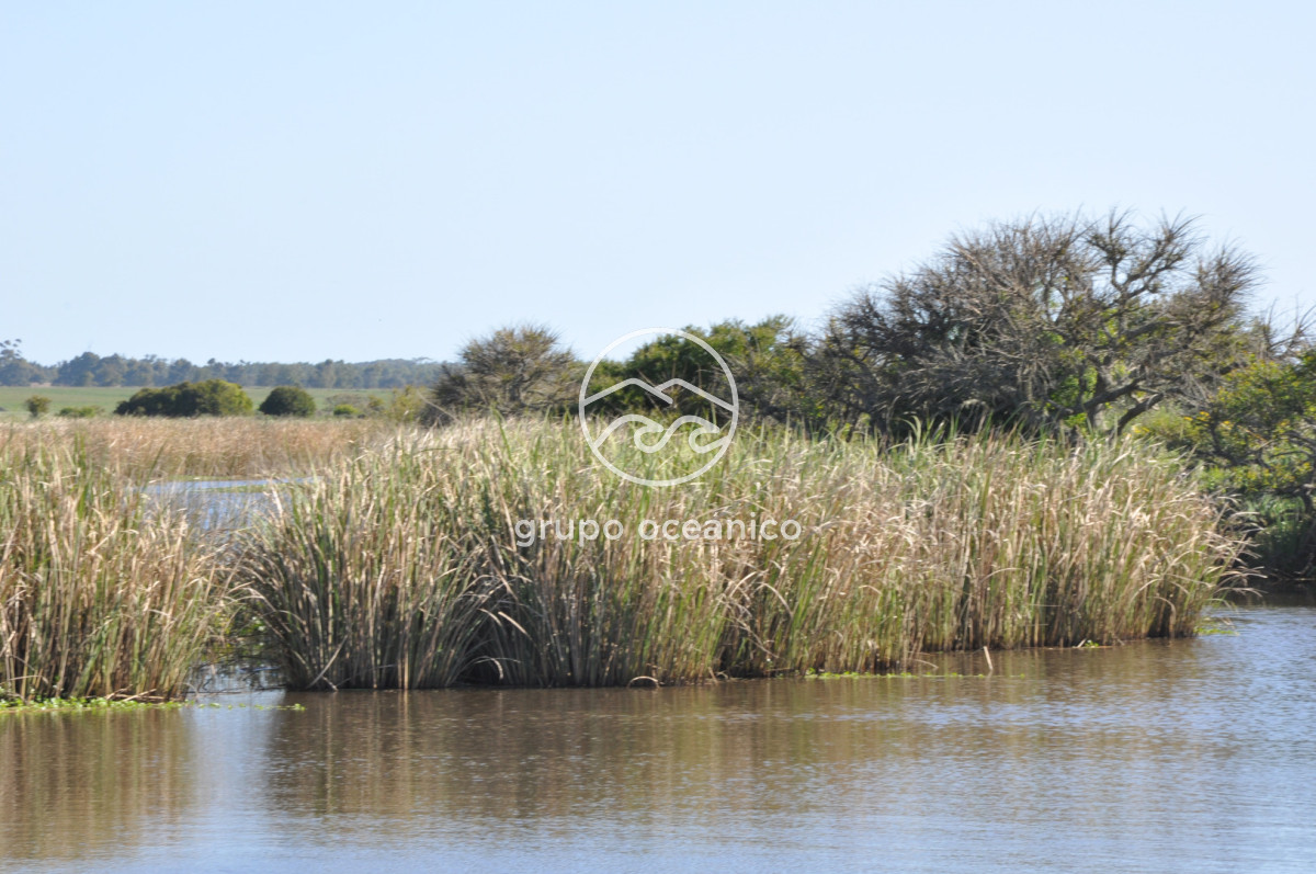 Chacra ID.10 - Chacra 138 hectáreas en Garzón Abajo