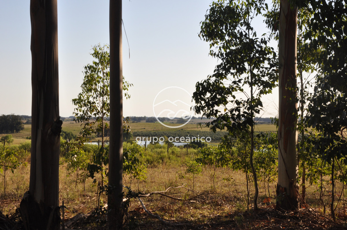 Chacra ID.16 - Chacra 30 hectáreas con construcción a 20 minutos de José Ignacio