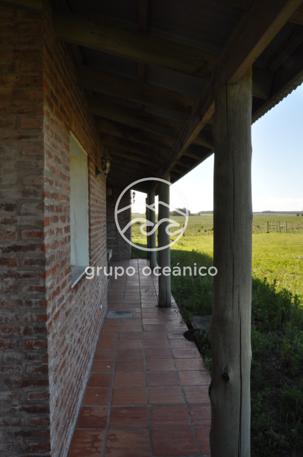 Chacra ID.10 - Chacra 138 hectáreas en Garzón Abajo