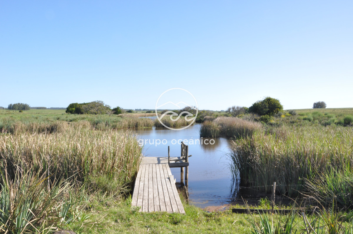 Chacra ID.10 - Chacra 138 hectáreas en Garzón Abajo