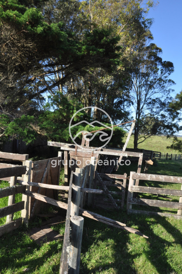 Chacra ID.10 - Chacra 138 hectáreas en Garzón Abajo