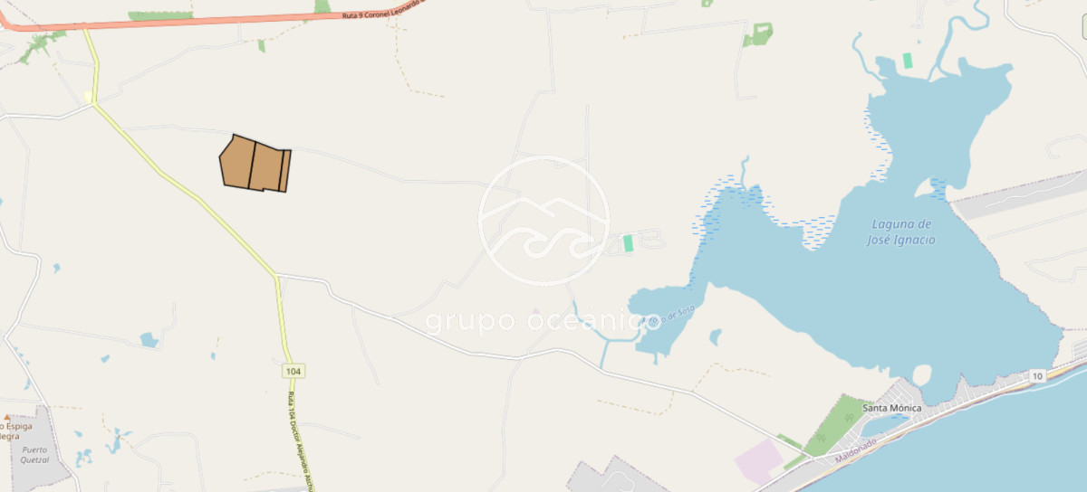 Chacra ID.9 - CHACRA 99 HECTÁREAS EN RINCÓN DE JOSÉ IGNACIO