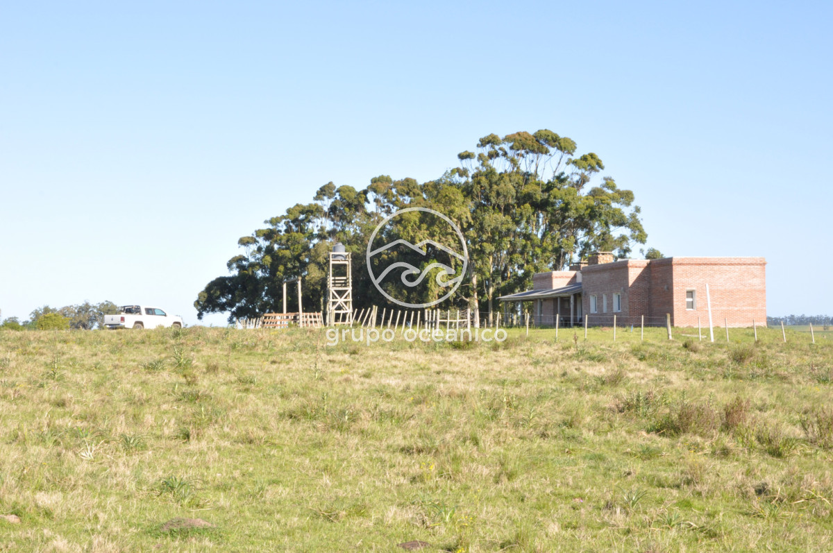 Chacra ID.10 - Chacra 138 hectáreas en Garzón Abajo