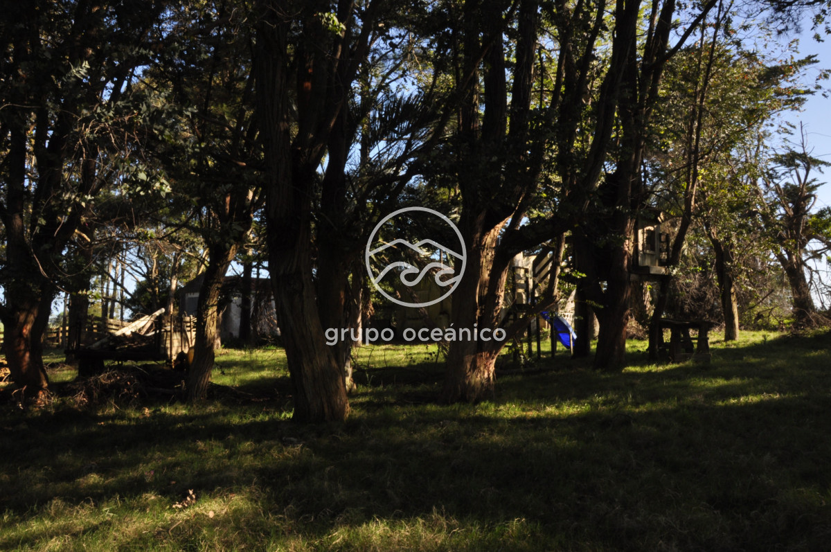 Chacra ID.10 - Chacra 138 hectáreas en Garzón Abajo