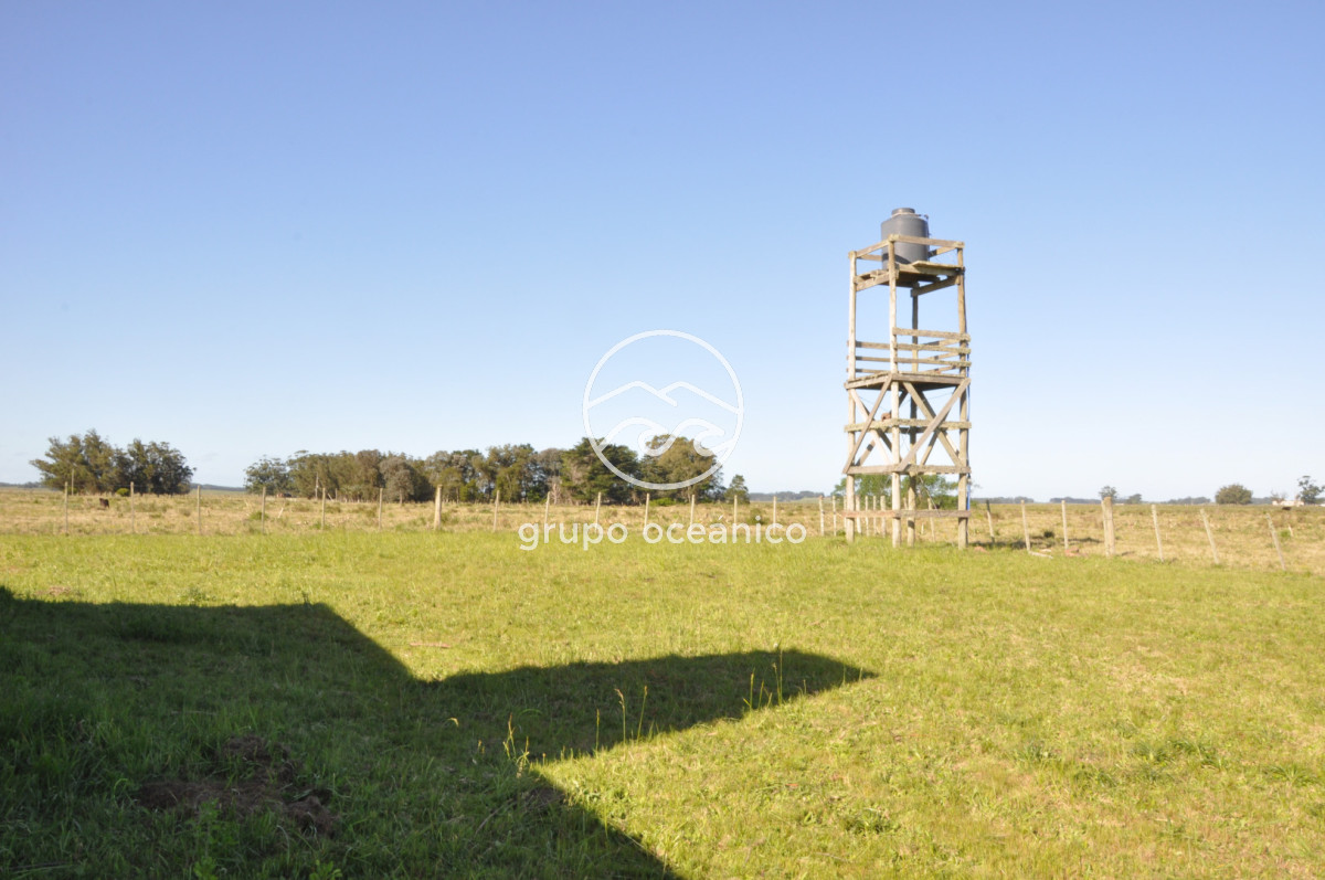 Chacra ID.10 - Chacra 138 hectáreas en Garzón Abajo