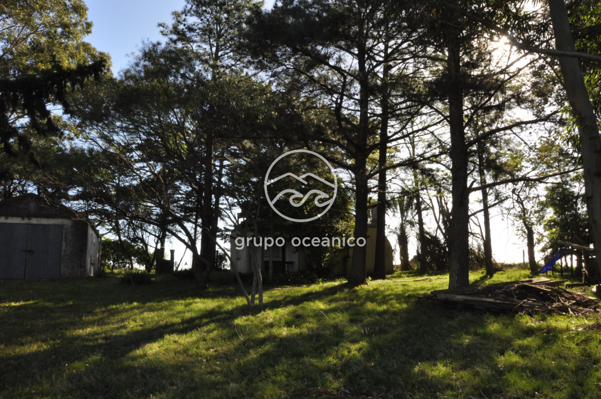 Chacra ID.10 - Chacra 138 hectáreas en Garzón Abajo