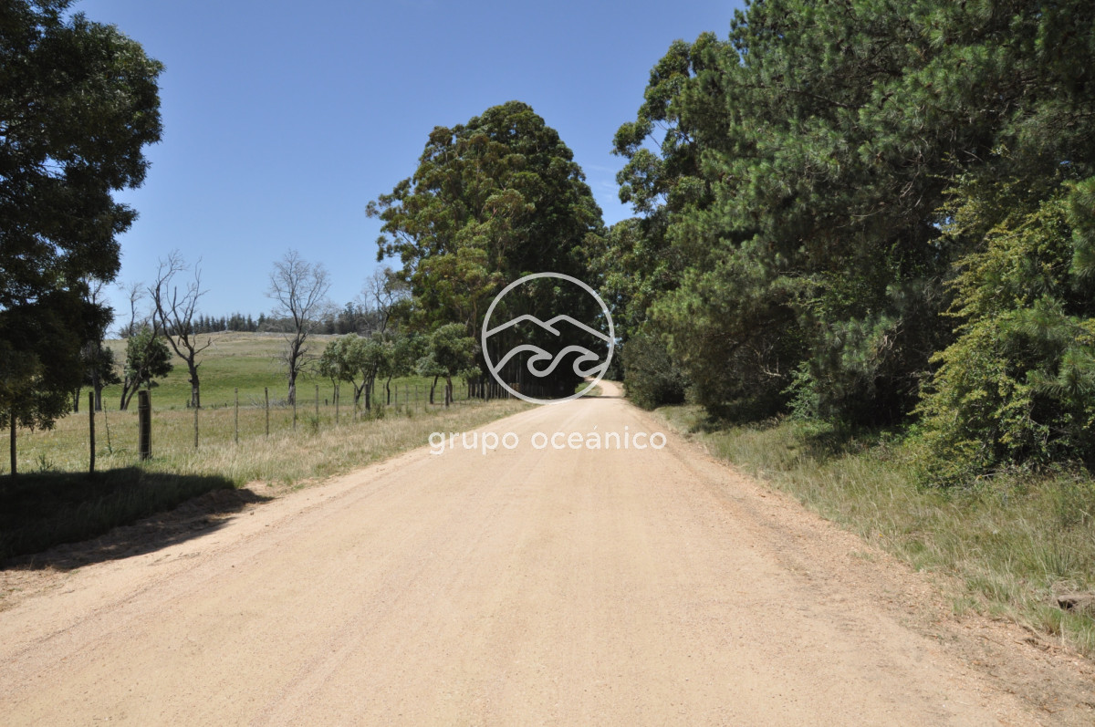 Chacra ID.9 - CHACRA 99 HECTÁREAS EN RINCÓN DE JOSÉ IGNACIO