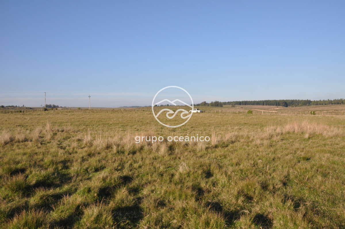 Chacra ID.62 - Chacra 3 Há sobre Sainz Martínez
