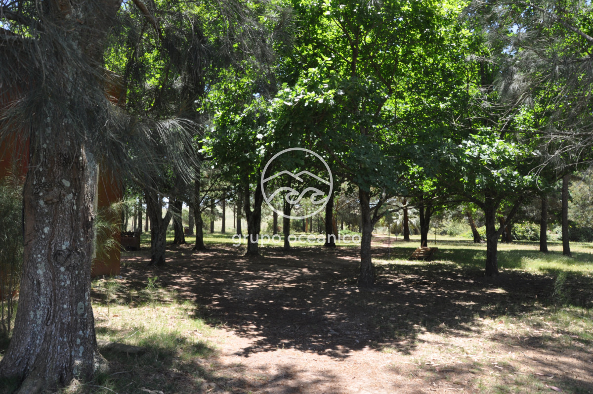 Chacra ID.9 - CHACRA 99 HECTÁREAS EN RINCÓN DE JOSÉ IGNACIO