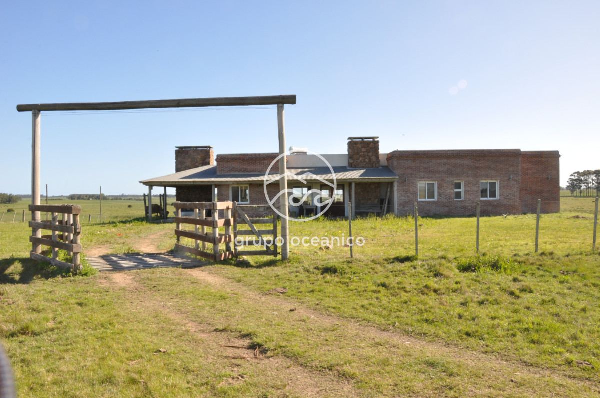 Chacra ID.10 - Chacra 138 hectáreas en Garzón Abajo