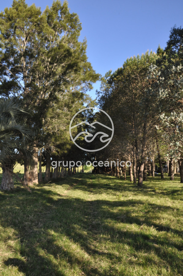 Chacra ID.10 - Chacra 138 hectáreas en Garzón Abajo