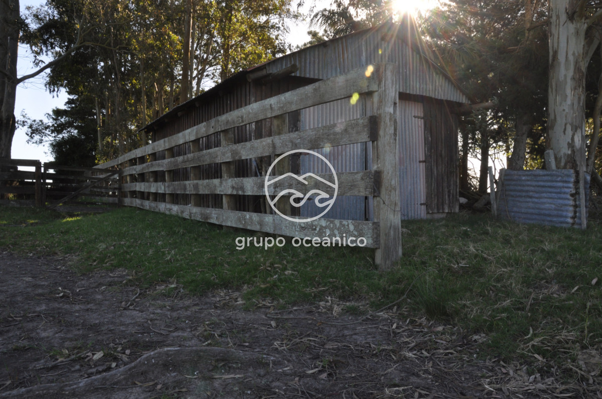 Chacra ID.10 - Chacra 138 hectáreas en Garzón Abajo