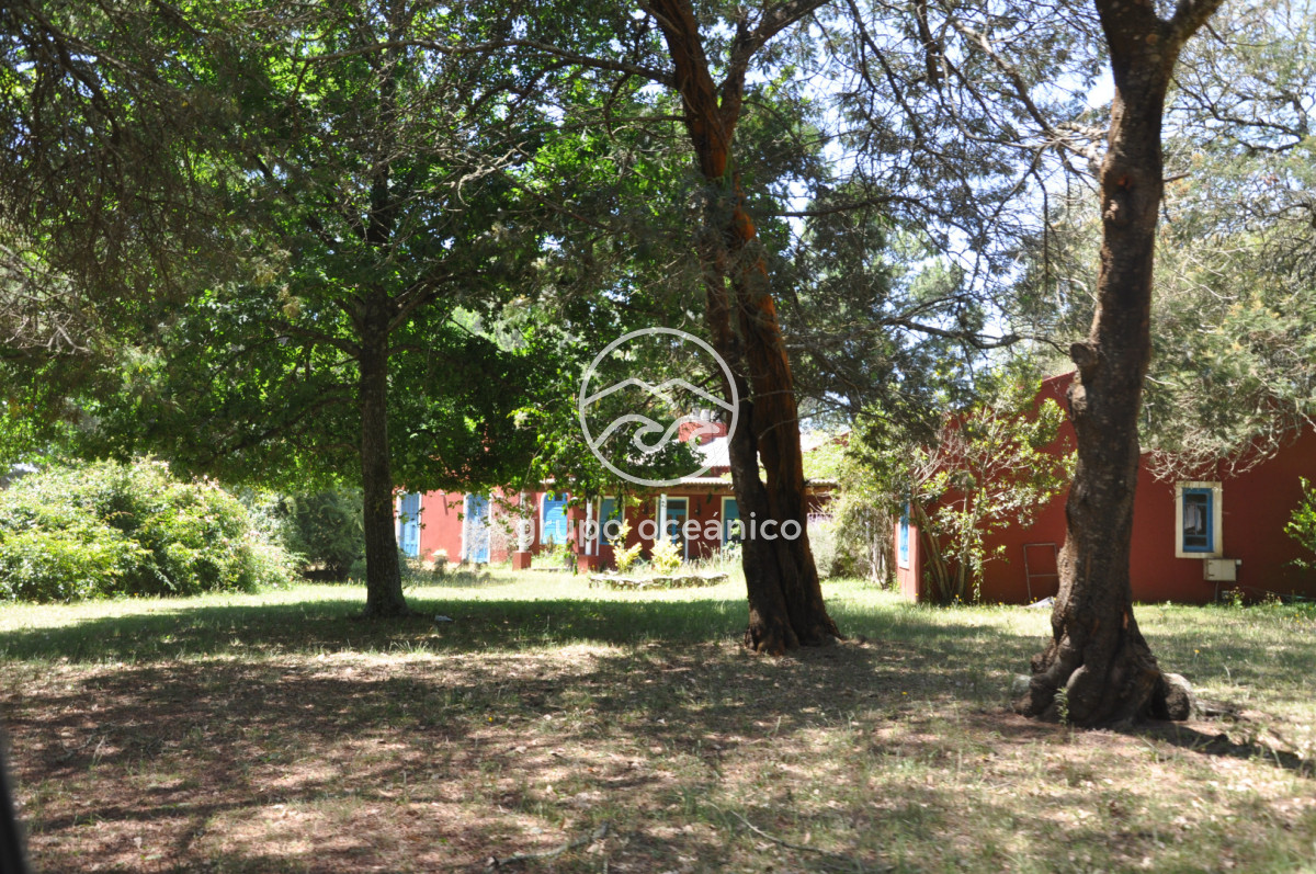 Chacra ID.9 - CHACRA 99 HECTÁREAS EN RINCÓN DE JOSÉ IGNACIO