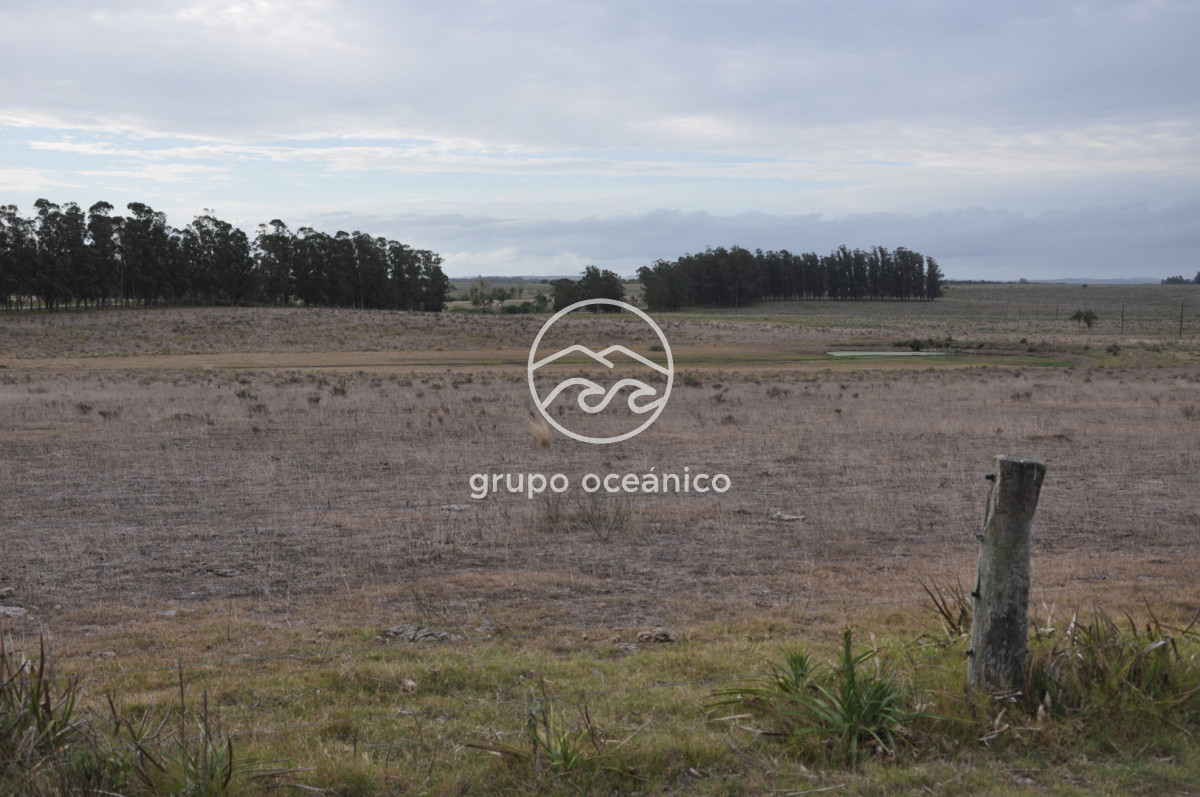 Chacra ID.52 - Chacra con 81 Há en camino a Pueblo Garzón y Ruta 9