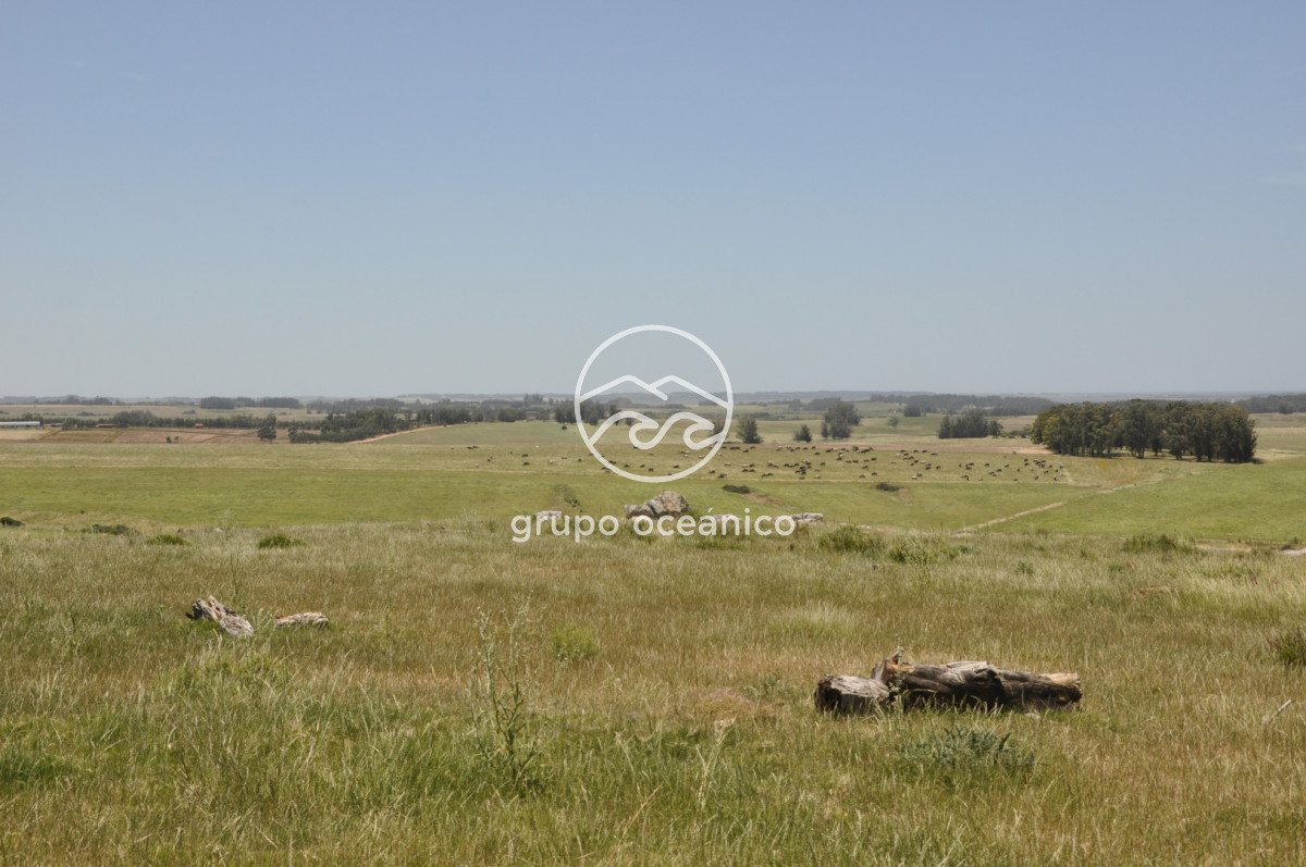 Chacra ID.9 - CHACRA 99 HECTÁREAS EN RINCÓN DE JOSÉ IGNACIO