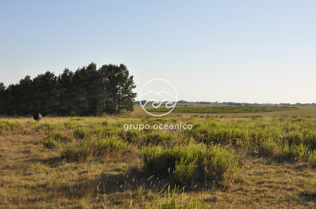 Chacra ID.16 - Chacra 30 hectáreas con construcción a 20 minutos de José Ignacio