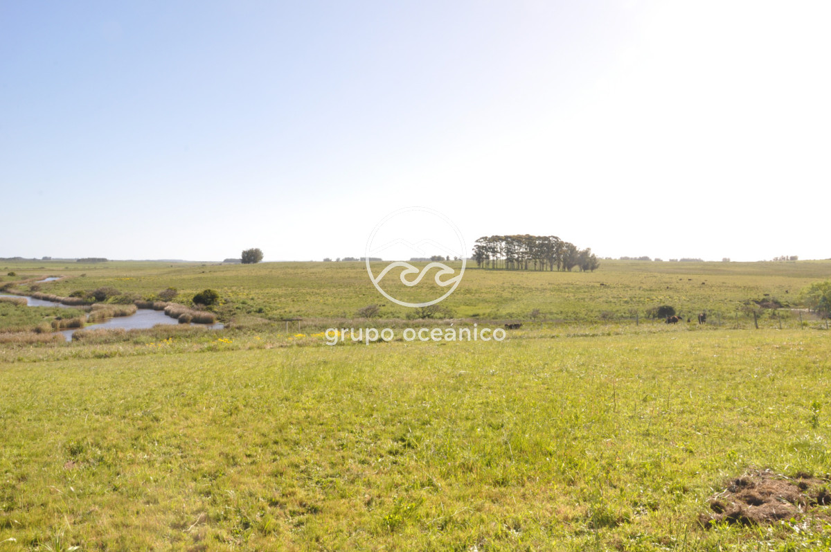 Chacra ID.10 - Chacra 138 hectáreas en Garzón Abajo