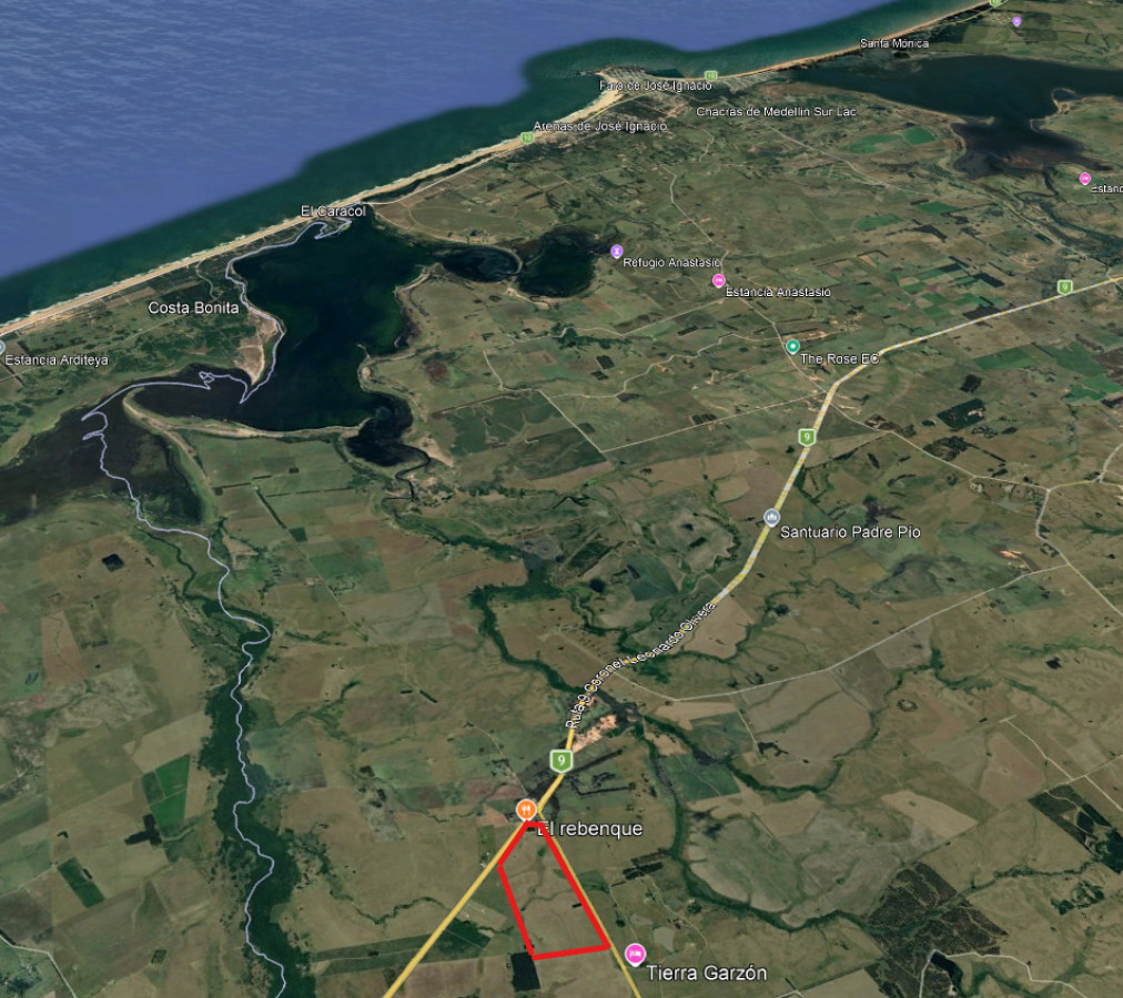 Chacra con 81 Há en camino a Pueblo Garzón y Ruta 9