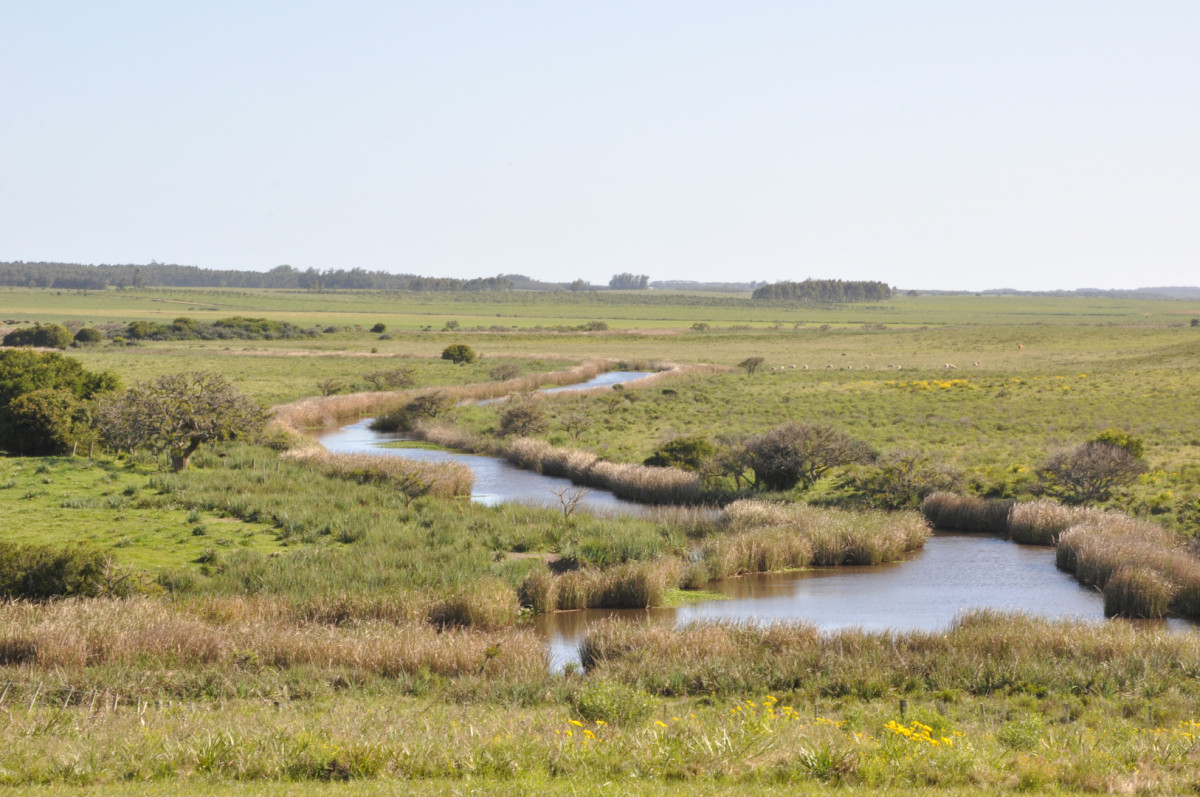 Chacra 138 hectáreas en Garzón Abajo