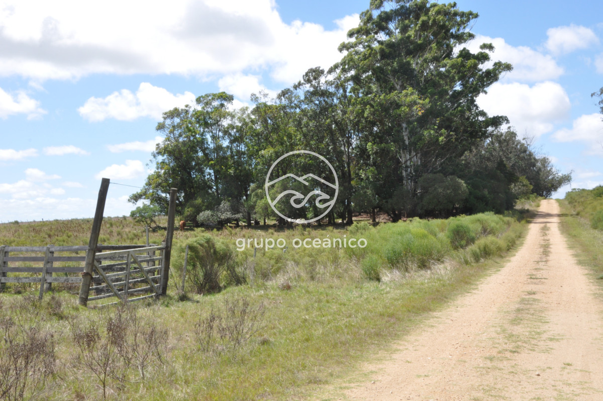 Campo Ref.36 - Campo en Camino las Garzas y Ruta 9  360 Ha ideal para fraccionamiento de chacras