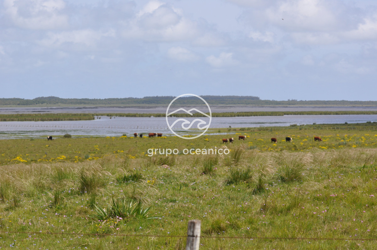 Campo Ref.89 - Campo 280 há sobre Laguna Garzón Área Protegida