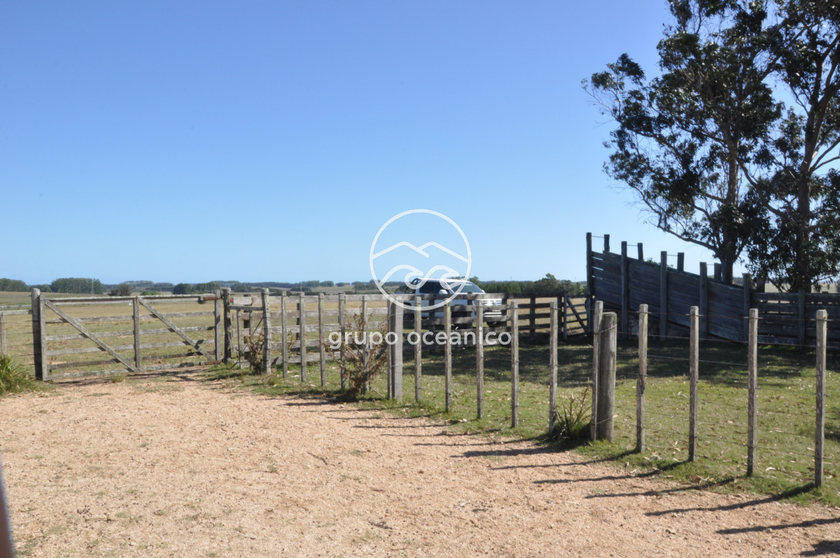 Campo Ref.44 - Campo con instalaciones y casas en Ruta 9 y camino Anastasio