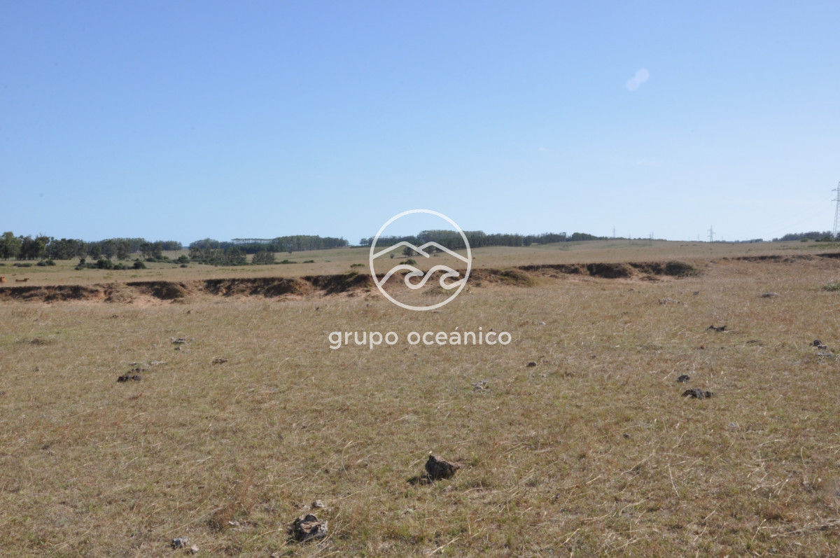 Campo Ref.44 - Campo con instalaciones y casas en Ruta 9 y camino Anastasio