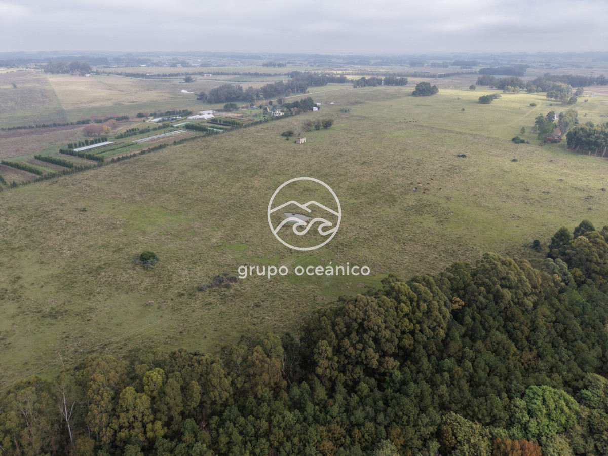 Campo Ref.63 - Campo sobre Ruta 104 a metros del MACA