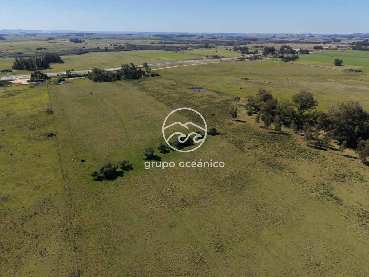 Campo Ref.56 - Campo 10 Há con acceso desde Ruta 9 Rincón de José Ignacio