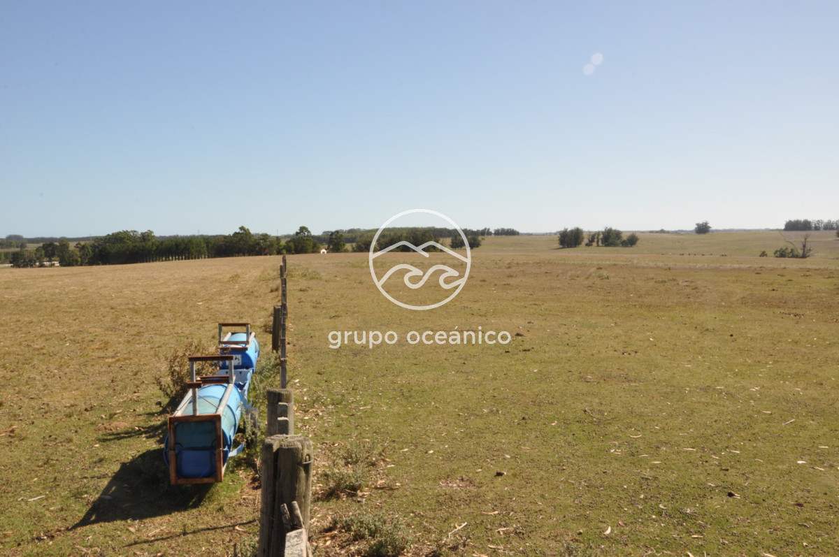 Campo Ref.44 - Campo con instalaciones y casas en Ruta 9 y camino Anastasio