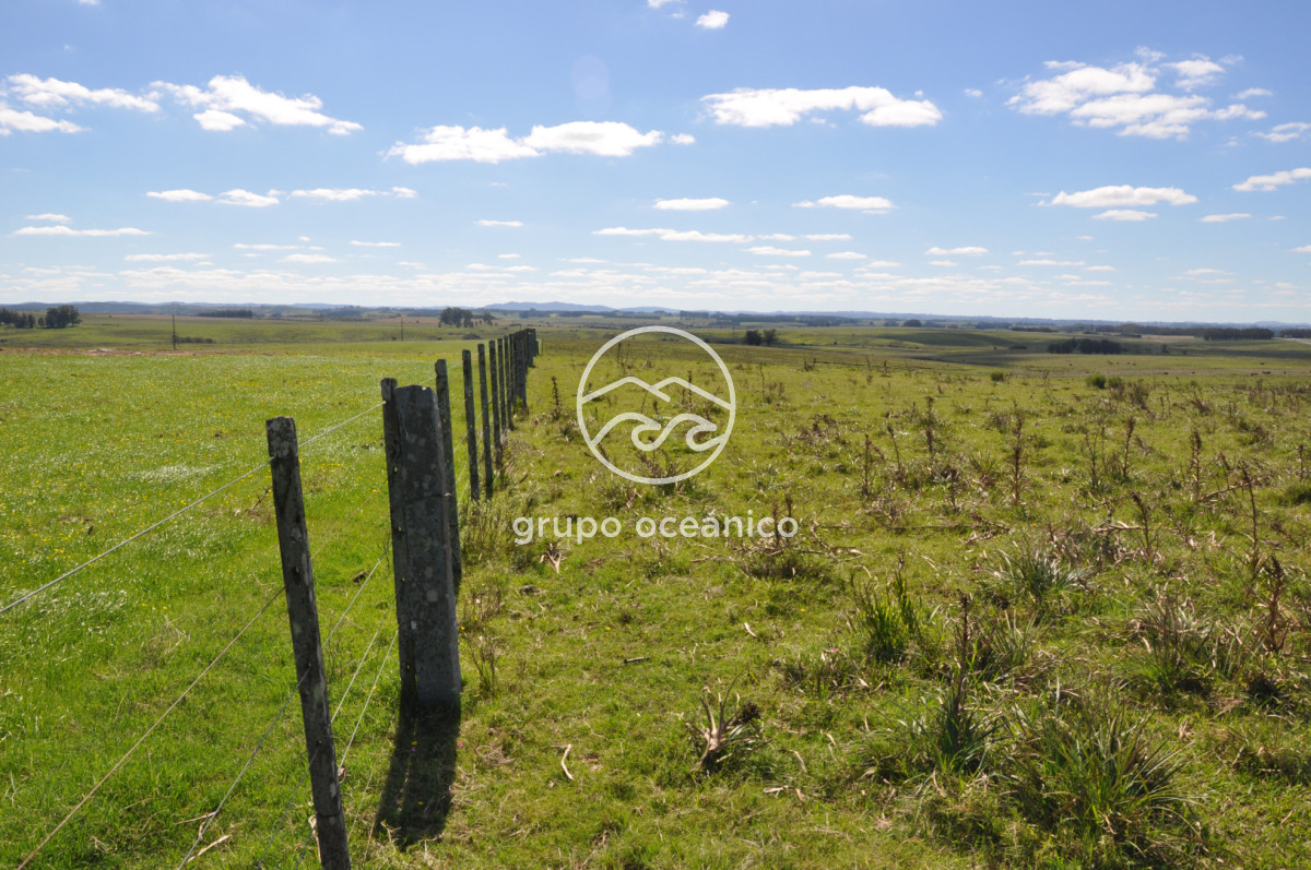 Campo Ref.53 - Campo Rocha Ruta 9 Km 196