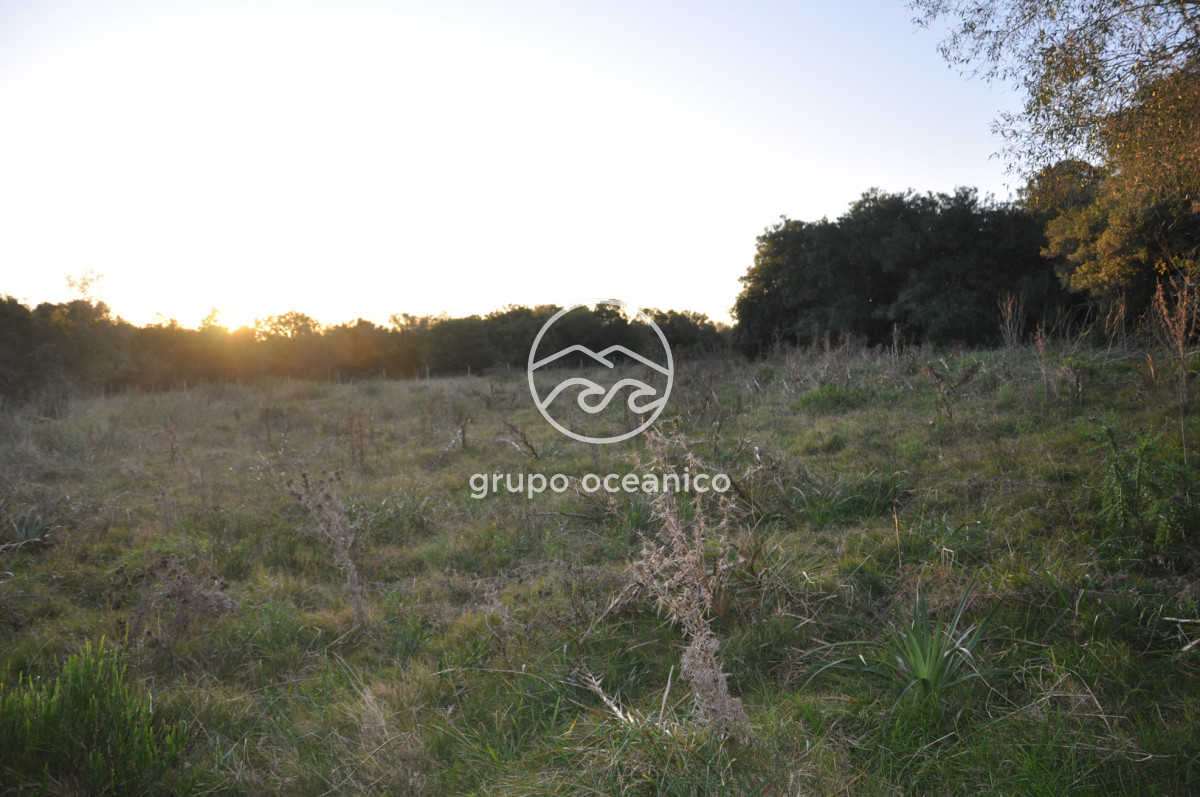 Campo Ref.4 - P 20673 Ruta 9 José Ignacio