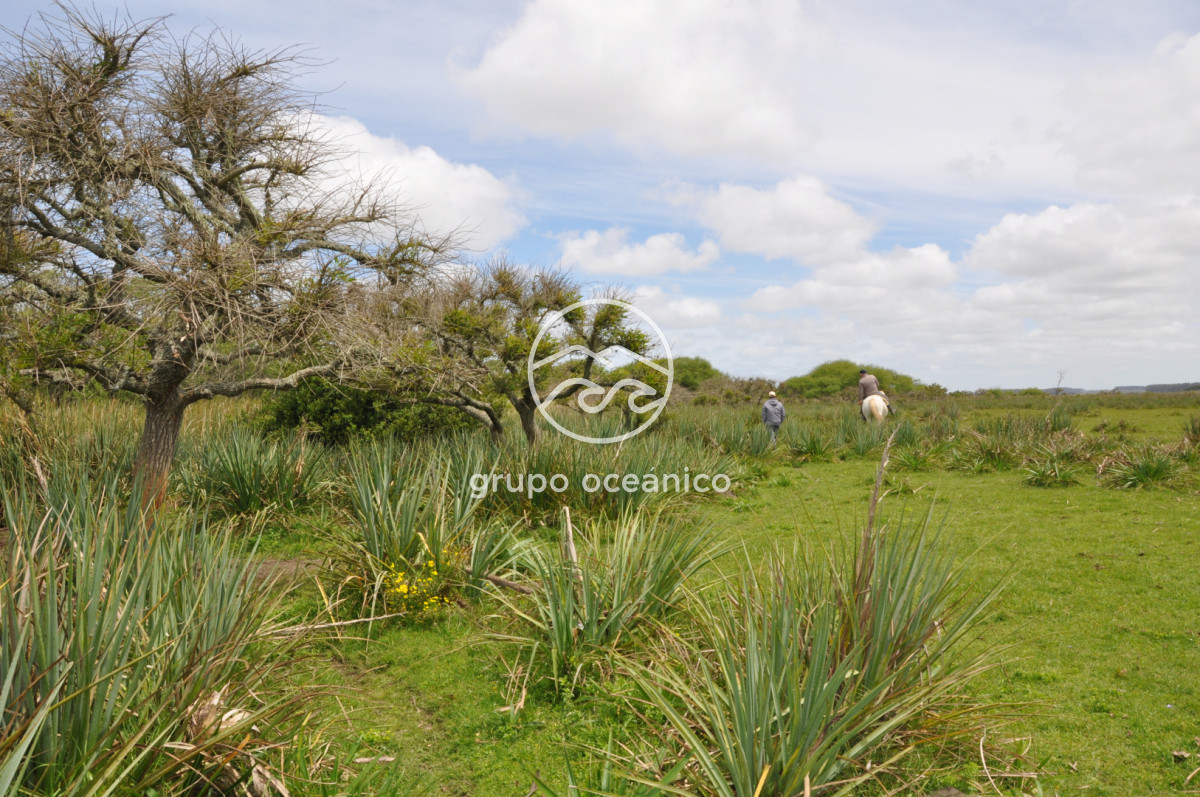 Campo Ref.89 - Campo 280 há sobre Laguna Garzón Área Protegida