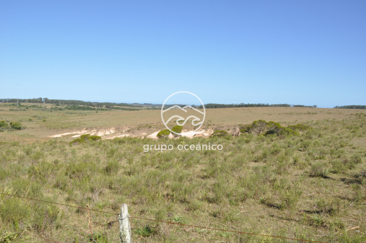Campo Ref.44 - Campo con instalaciones y casas en Ruta 9 y camino Anastasio
