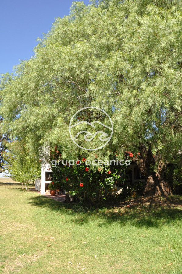 Campo Ref.44 - Campo con instalaciones y casas en Ruta 9 y camino Anastasio