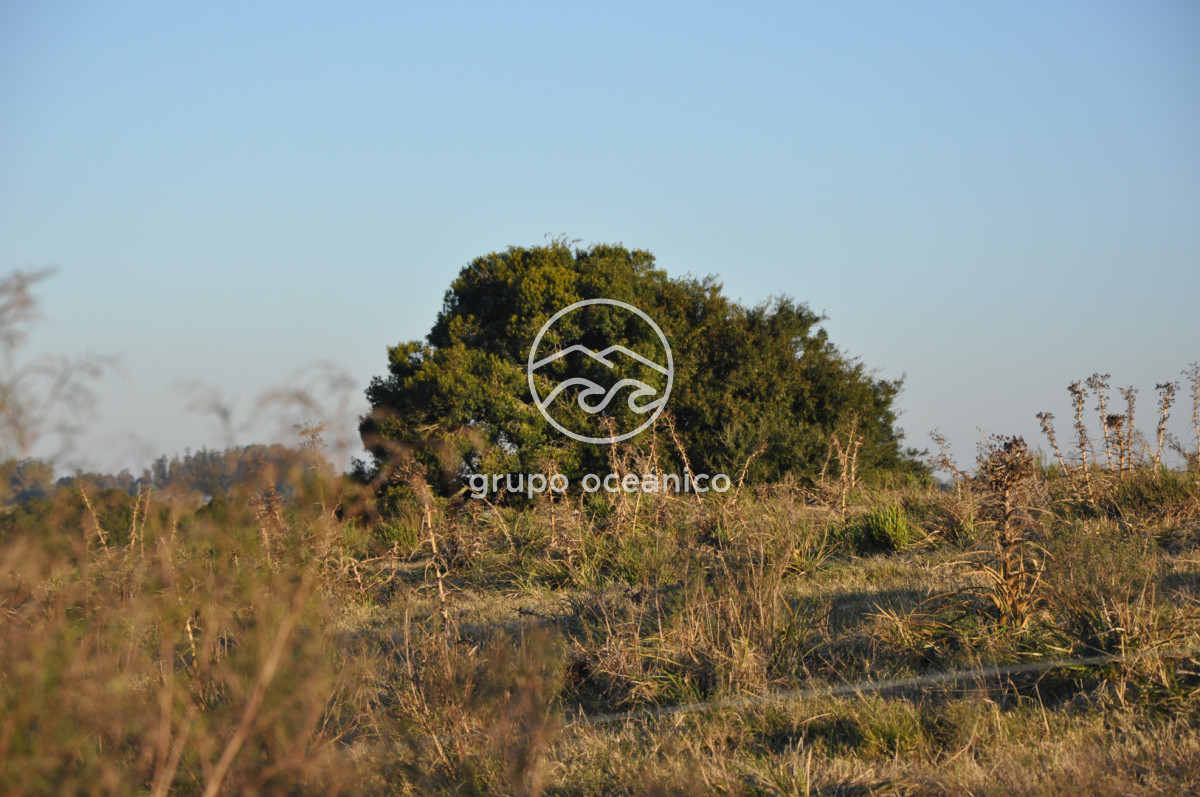 Campo Ref.4 - P 20673 Ruta 9 José Ignacio