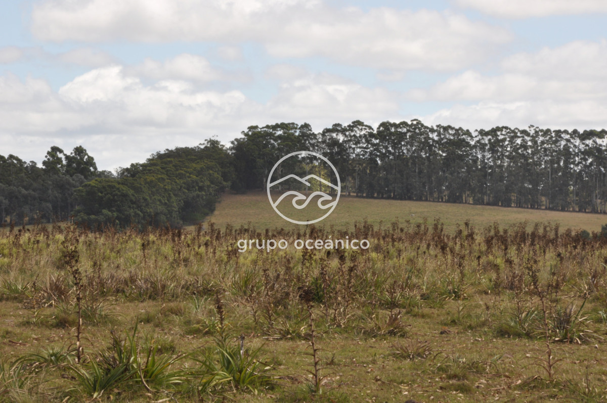 Campo Ref.36 - Campo en Camino las Garzas y Ruta 9  360 Ha ideal para fraccionamiento de chacras