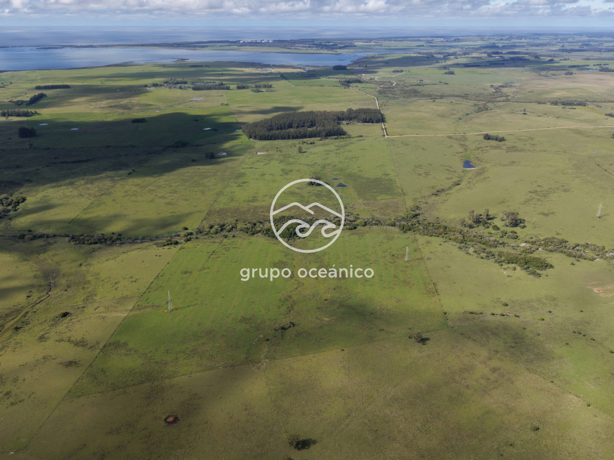 Campo Ref.2 - Campo de 50 hectáreas en Rincón de José Ignacio