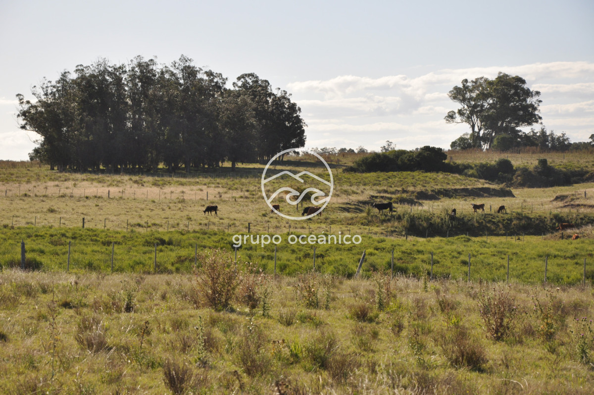 Campo Ref.18 - Campo en camino vecinal y Ruta 9 Zona Bodega Oceánica