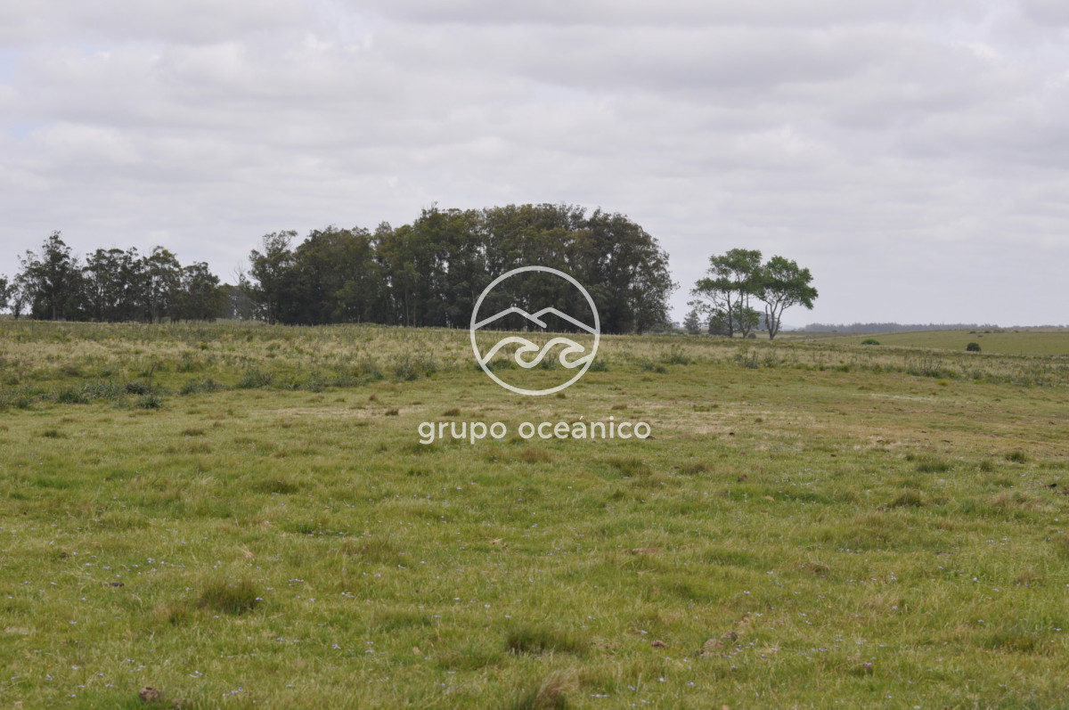 Campo Ref.89 - Campo 280 há sobre Laguna Garzón Área Protegida