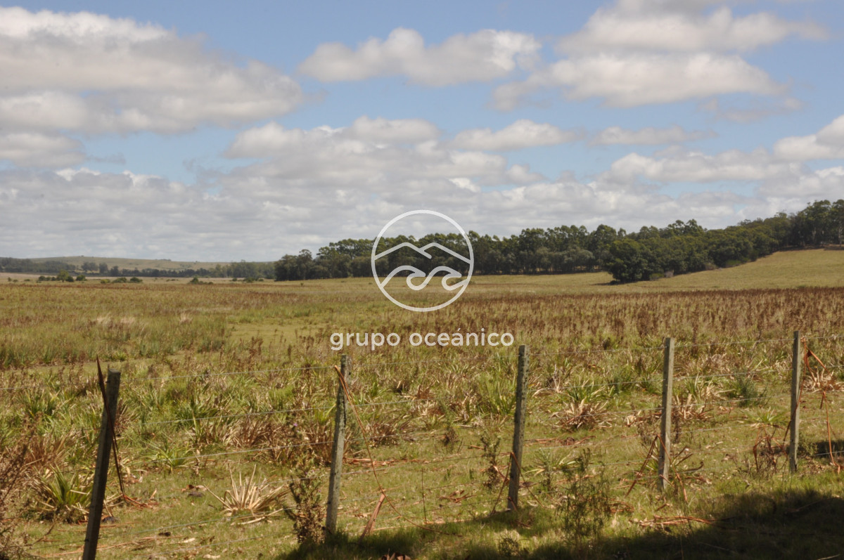 Campo Ref.36 - Campo en Camino las Garzas y Ruta 9  360 Ha ideal para fraccionamiento de chacras