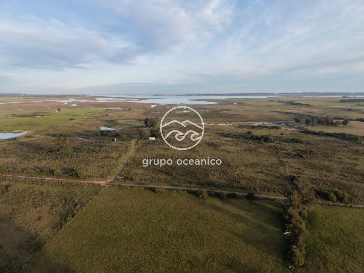 Campo Ref.88 - Campo 91 há sobre Laguna de José Ignacio