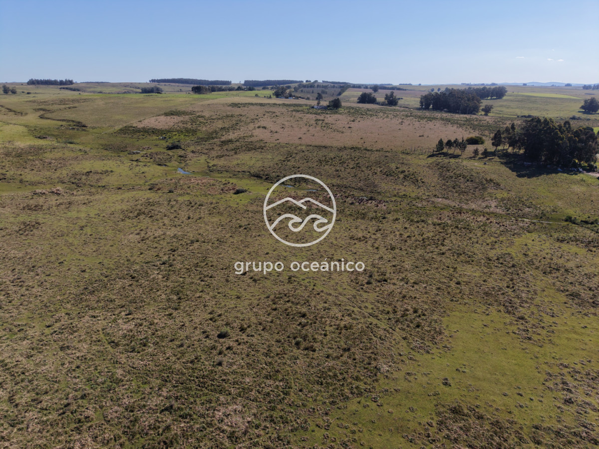 Campo Ref.81 - Campo Paso del Tigre con Cabaña