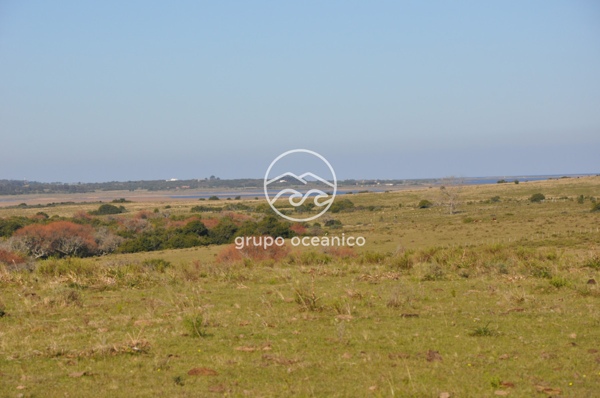 Campo Ref.2 - Campo de 50 hectáreas en Rincón de José Ignacio