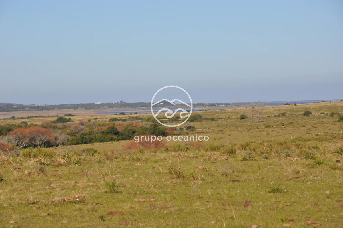 Campo Ref.2 - Campo de 50 hectáreas en Rincón de José Ignacio