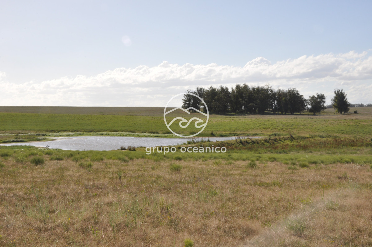 Campo Ref.44 - Campo con instalaciones y casas en Ruta 9 y camino Anastasio