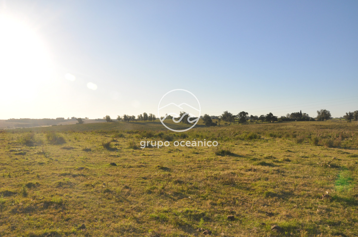 Campo Ref.3 - Campo de 39 hectáreas en Rincón de José Ignacio