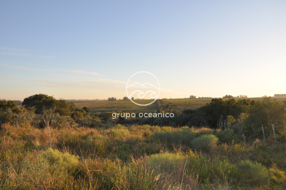 Campo Ref.4 - P 20673 Ruta 9 José Ignacio